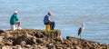 Three fishing, two men and a great blue heron Ardea herodias per Royalty Free Stock Photo